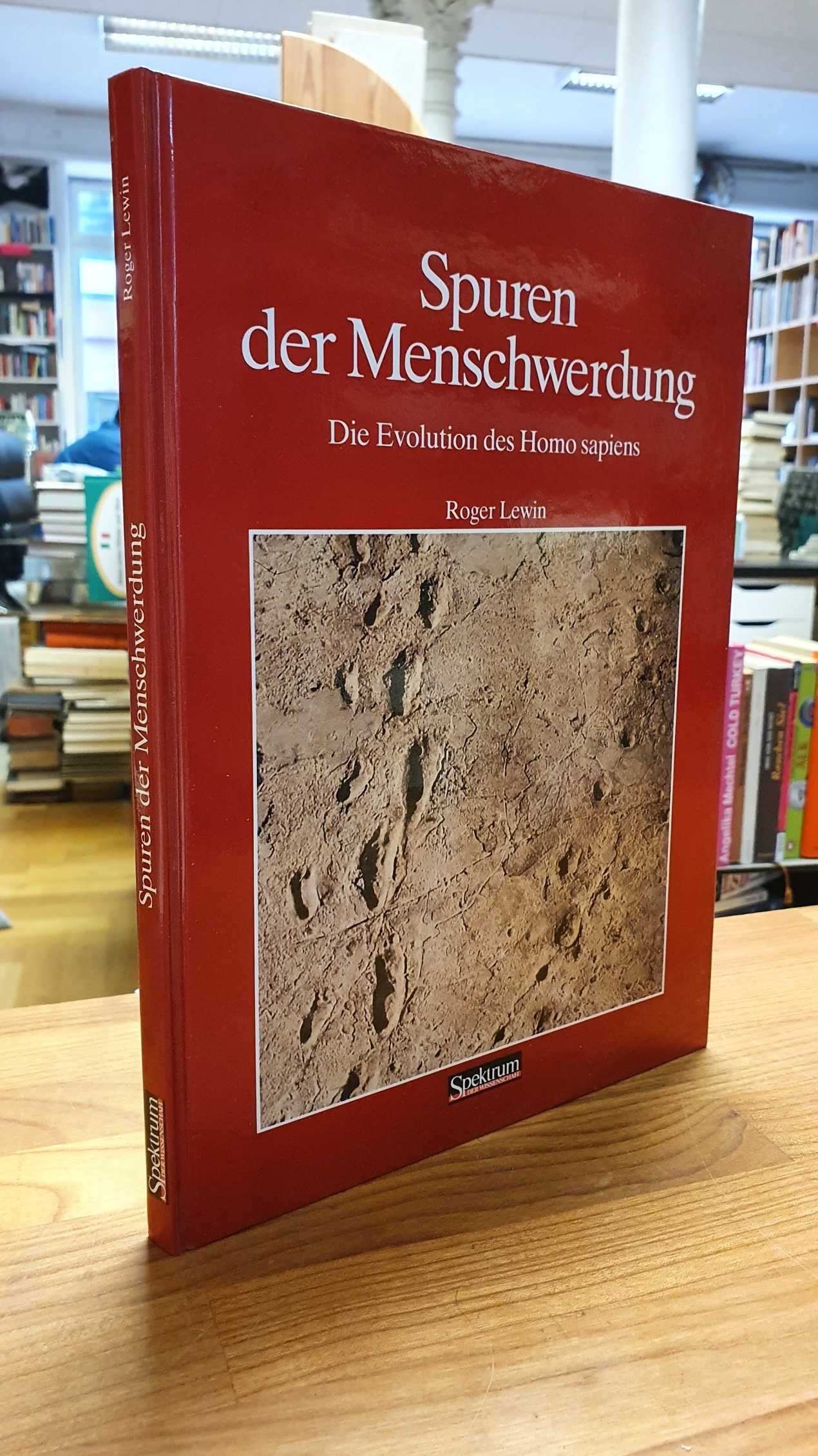 Lewin, Spuren der Menschwerdung – Die Evolution des Homo sapiens, Lewin, Spuren der Menschwerdung – Die Evolution des Homo sapiens,