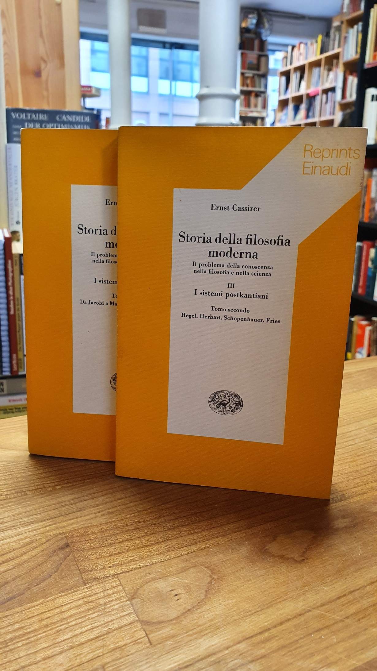 Cassirer, Storia della filosofia moderna – Il problema della conoscenza nella fi