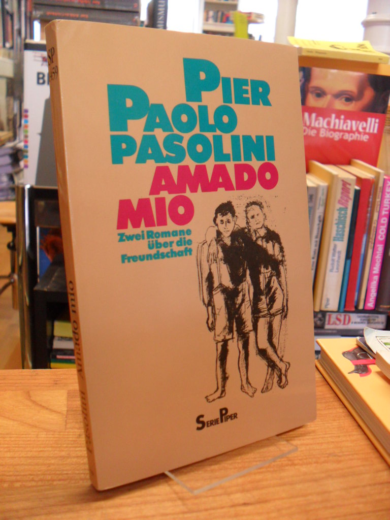 Pasolini, Amado mio – Zwei Romane über die Freundschaft,