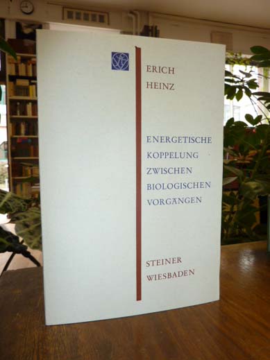 Heinz, Energetische Koppelung zwischen biologischen Vorgängen, Heinz, Energetische Koppelung zwischen biologischen Vorgängen,