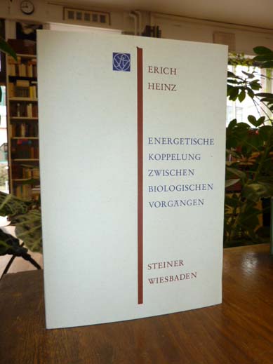 Heinz, Energetische Koppelung zwischen biologischen Vorgängen,