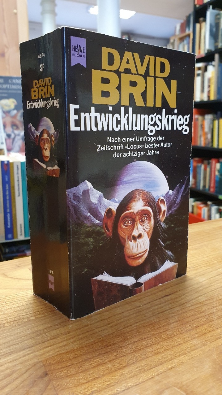 Brin, Entwicklungskrieg, Brin, Entwicklungskrieg,