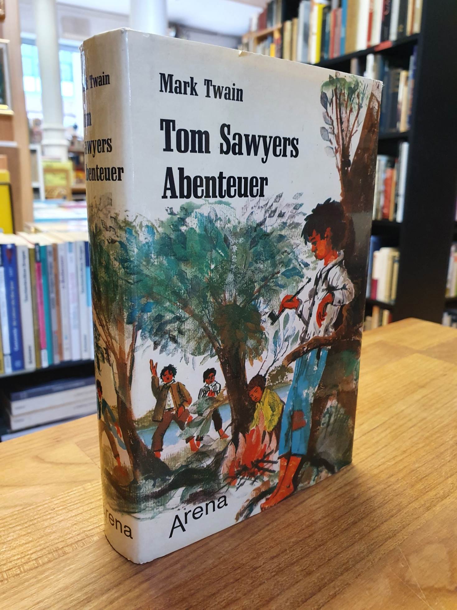 Twain, Tom Sawyers Abenteuer – Die Erlebnisse eines Lausbuben am grossen Fluss,