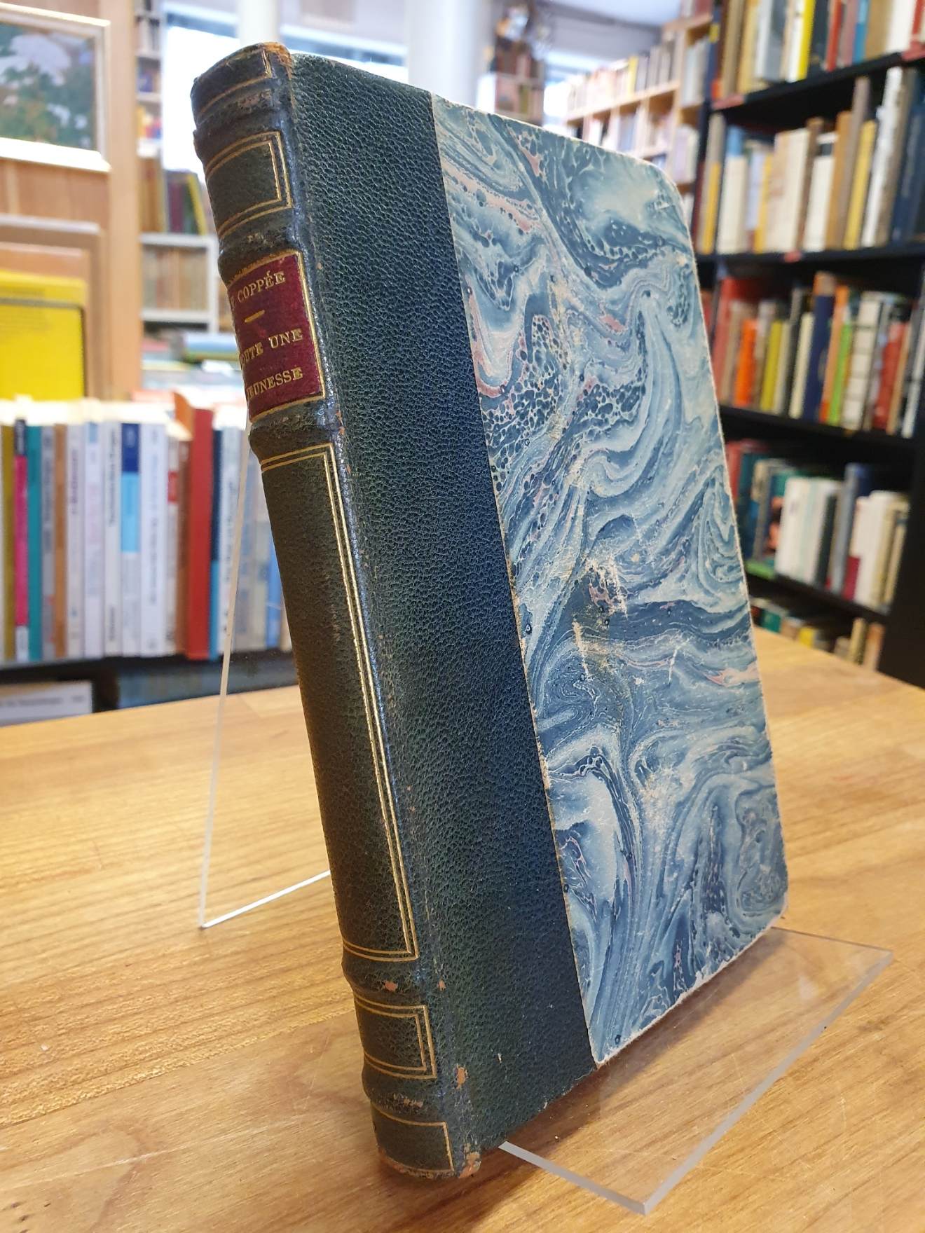 Toute une jeunesse (1900) Toute une jeunesse (1900)