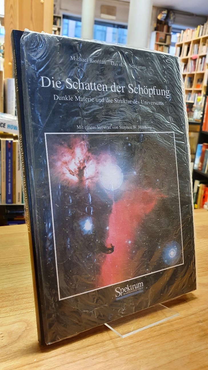 Riordan, Die Schatten der Schöpfung – Dunkle Materie und die Struktur des Univer Riordan, Die Schatten der Schöpfung – Dunkle Materie und die Struktur des Univer