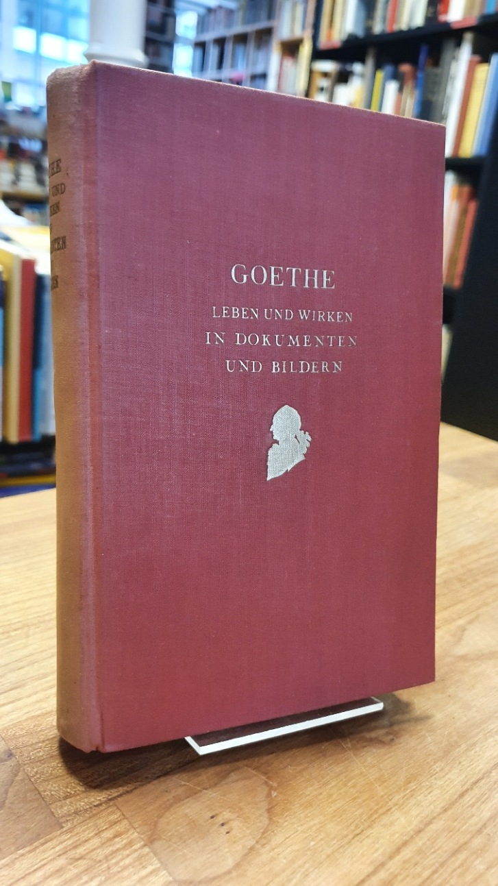 Goethe. Sein Leben und Wirken in Bildern und Urkunden. Nebst einem Vorspiel Goet
