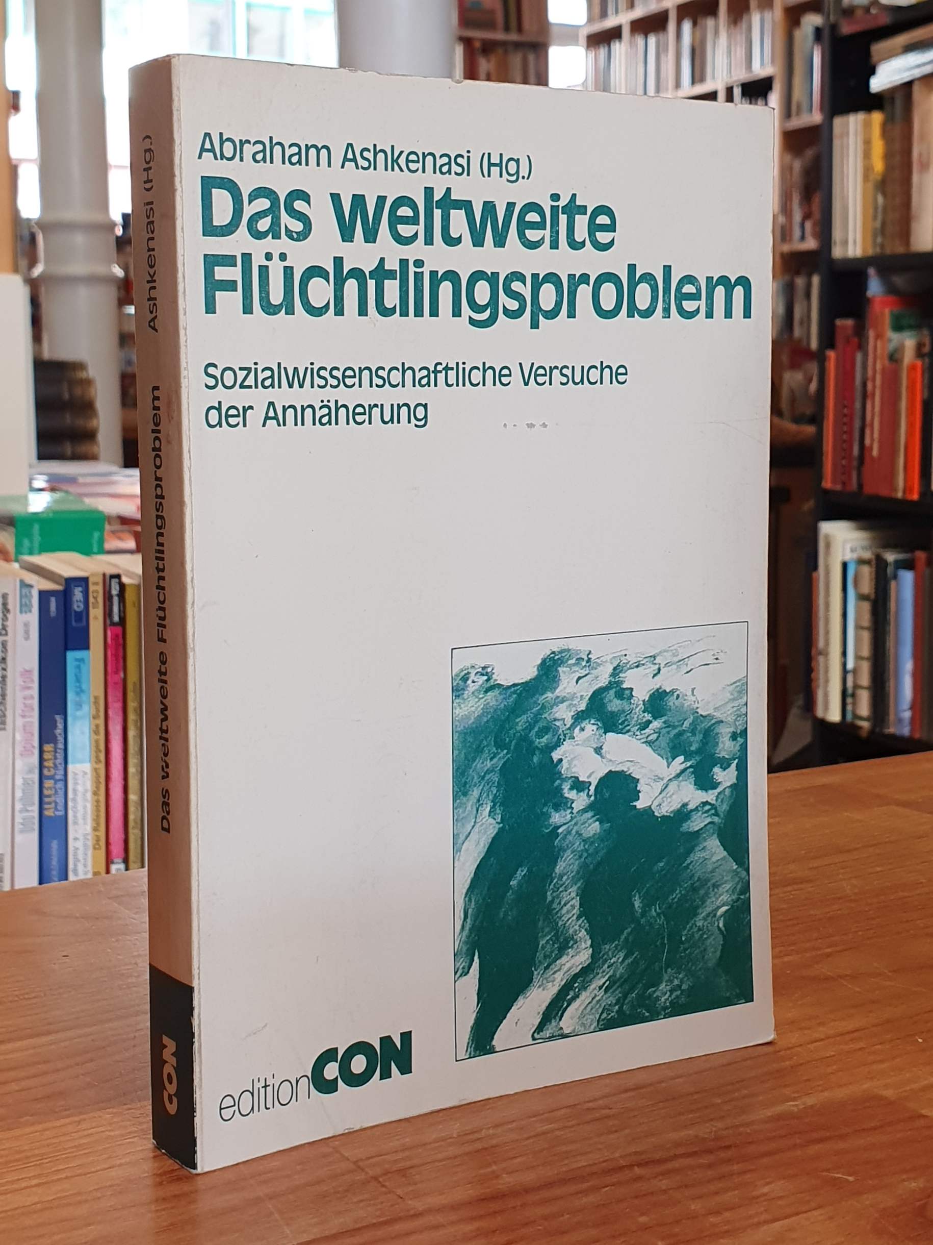 Ashkenasi, Das weltweite Flüchtlingsproblem – Sozialwissenschaftliche Versuche d