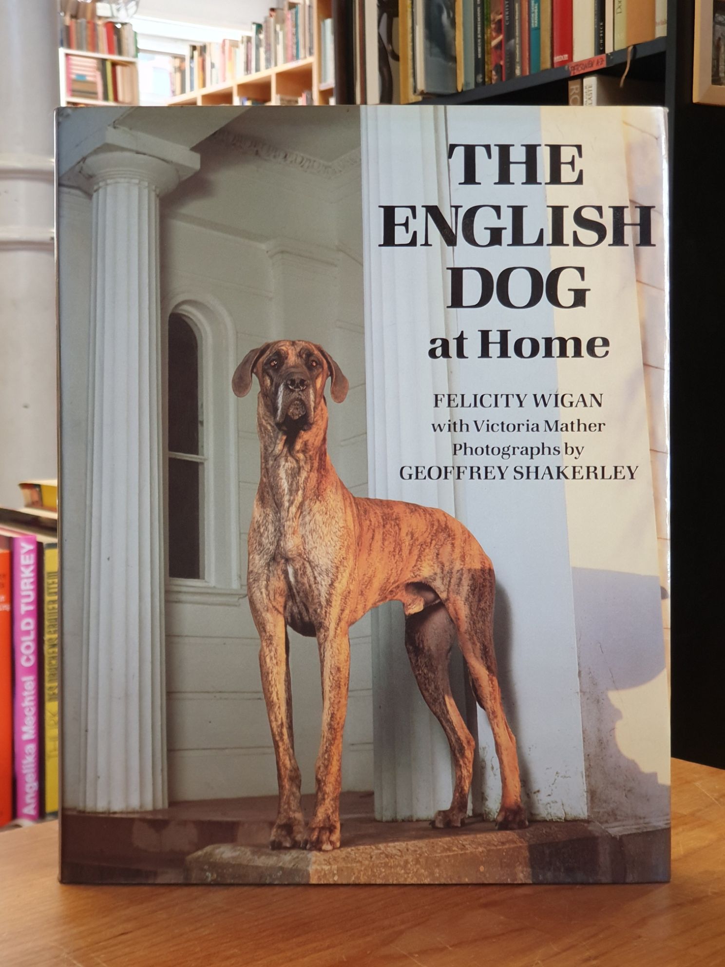 The English Dog at Home,