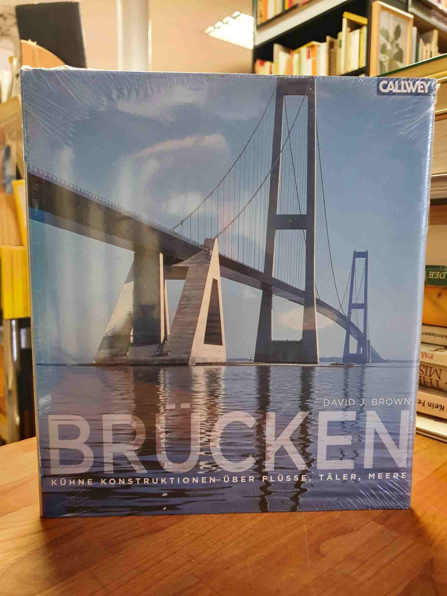 Brown, Brücken – Kühne Konstruktionen über Flüsse, Täler, Meere,