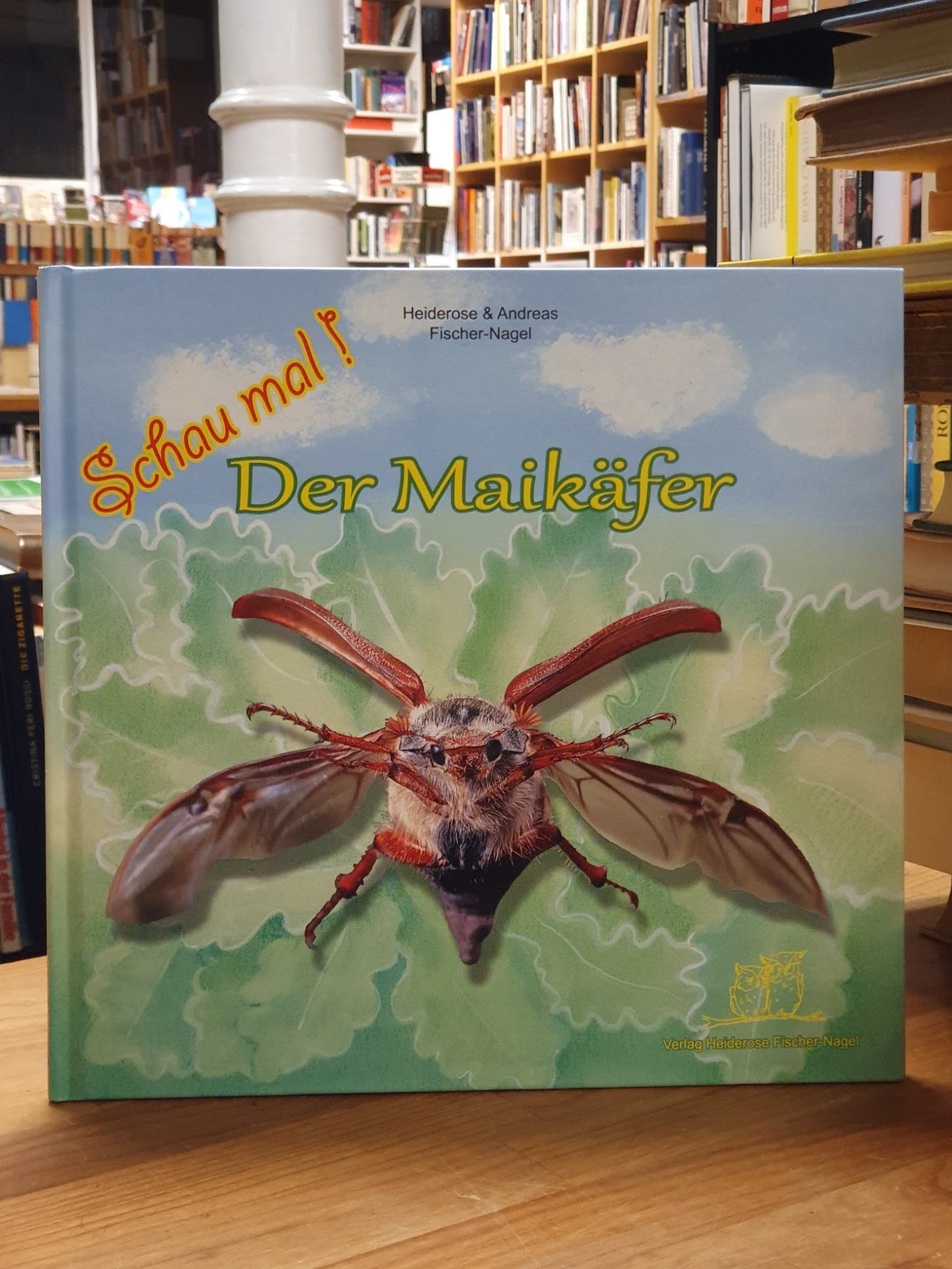 Schau mal! – der Maikäfer,