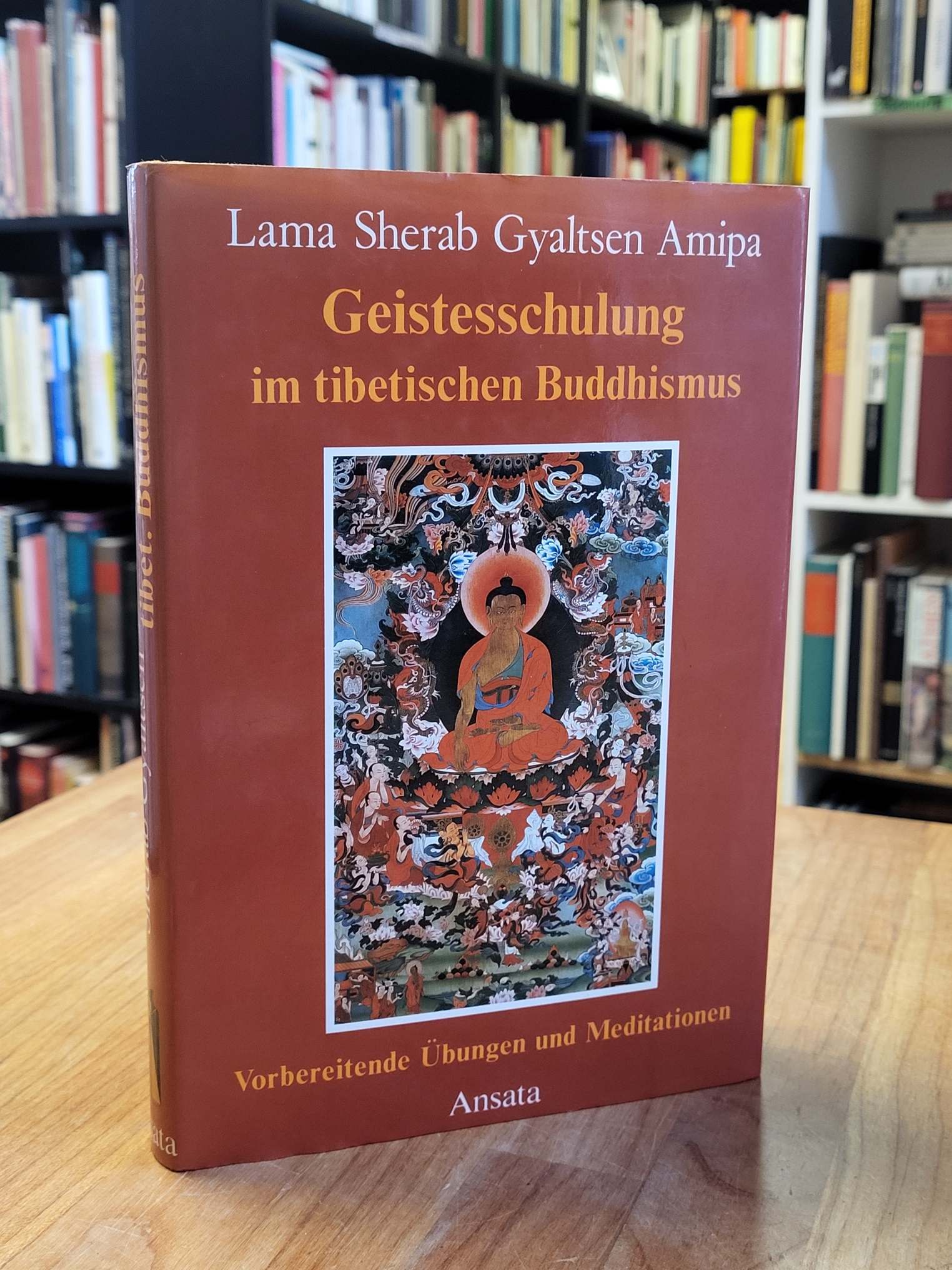 Amipa, Geistesschulung im tibetischen Buddhismus – Vorbereitende Übungen und Med