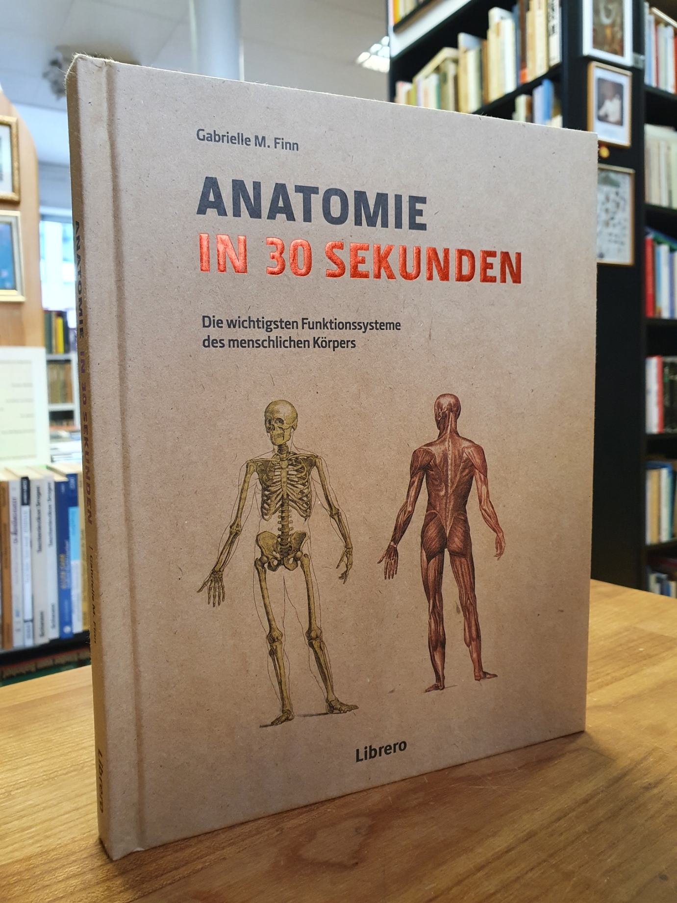 Finn, Anatomie in 30 Sekunden – Die wichtigsten Funktionssysteme des menschliche Finn, Anatomie in 30 Sekunden – Die wichtigsten Funktionssysteme des menschliche