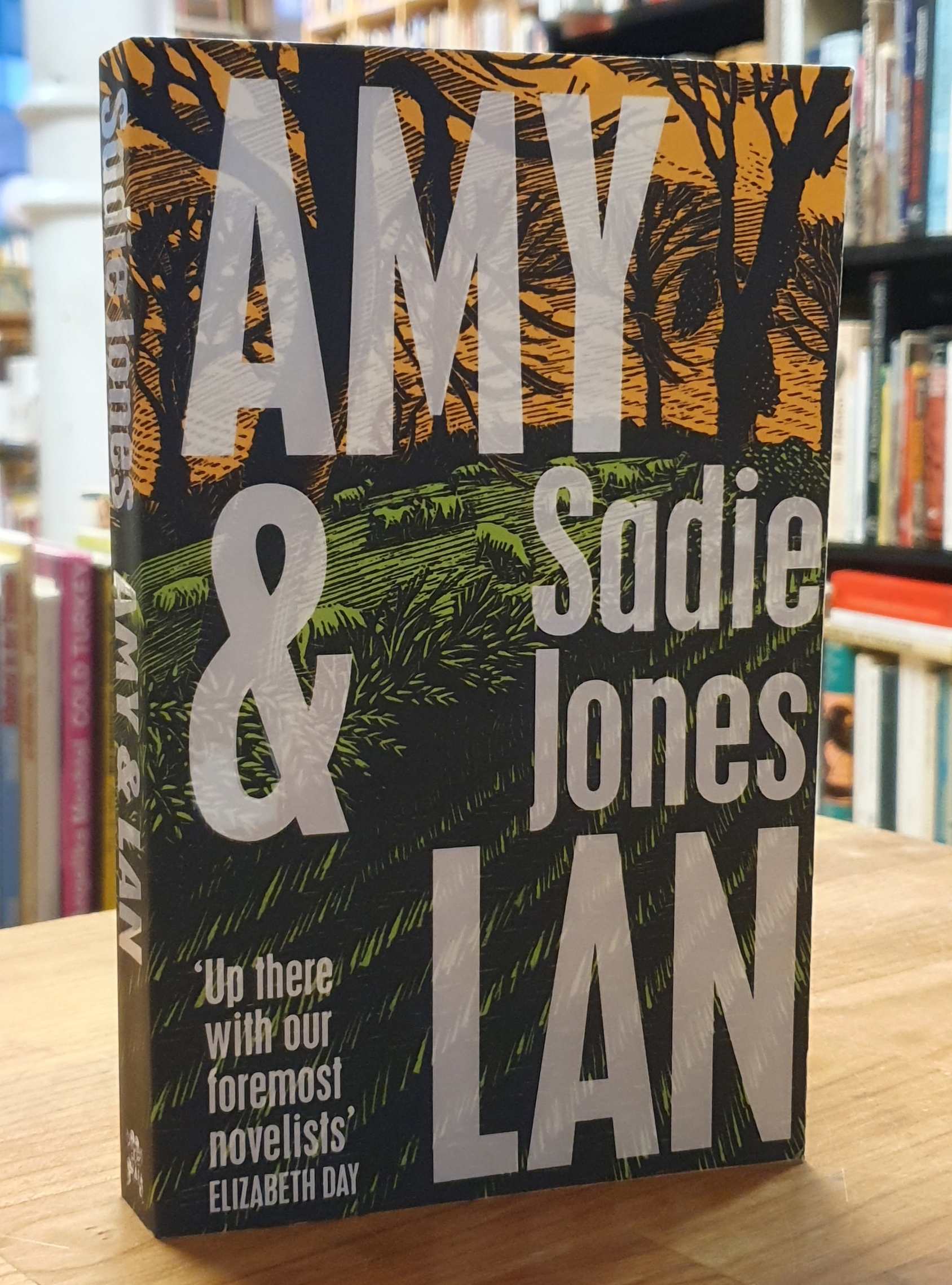 Amy and Lan, Amy and Lan,