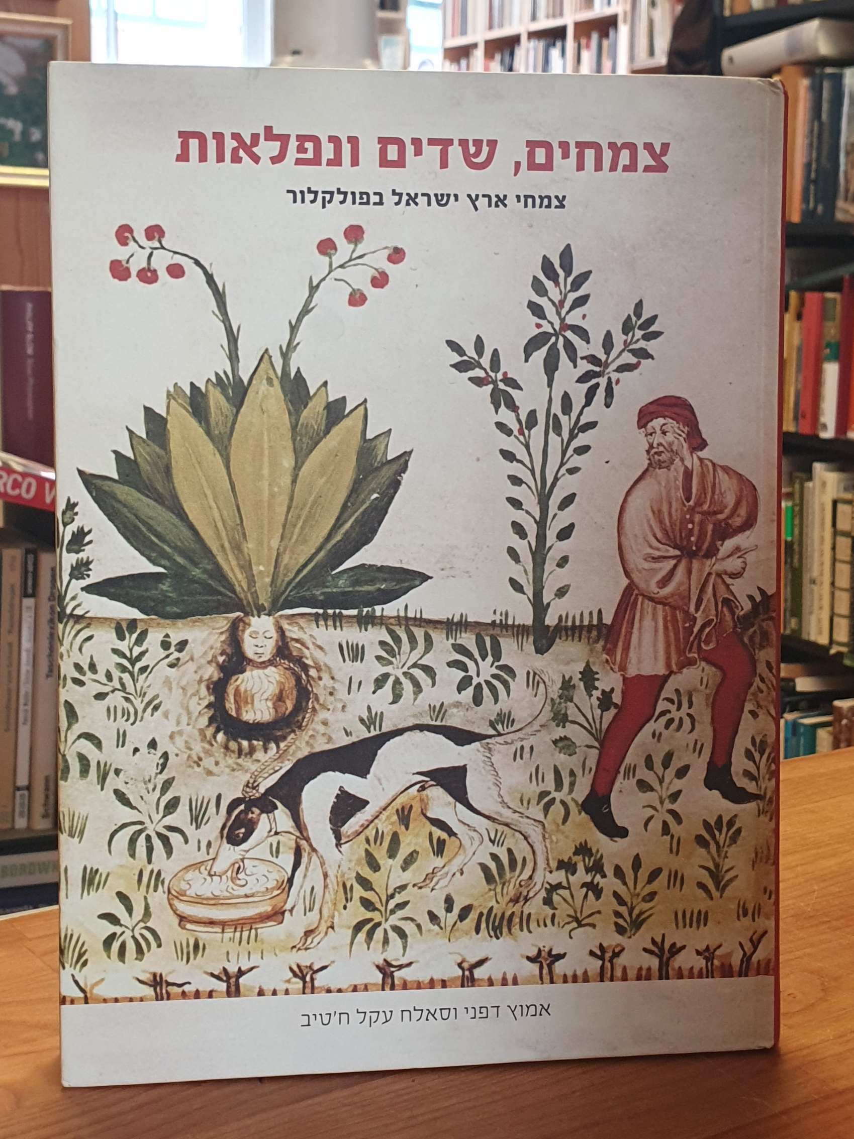 Dafni, Plants, Demons And Wonders: Plants Folklore Of The Holy Land, Dafni, Plants, Demons And Wonders: Plants Folklore Of The Holy Land,