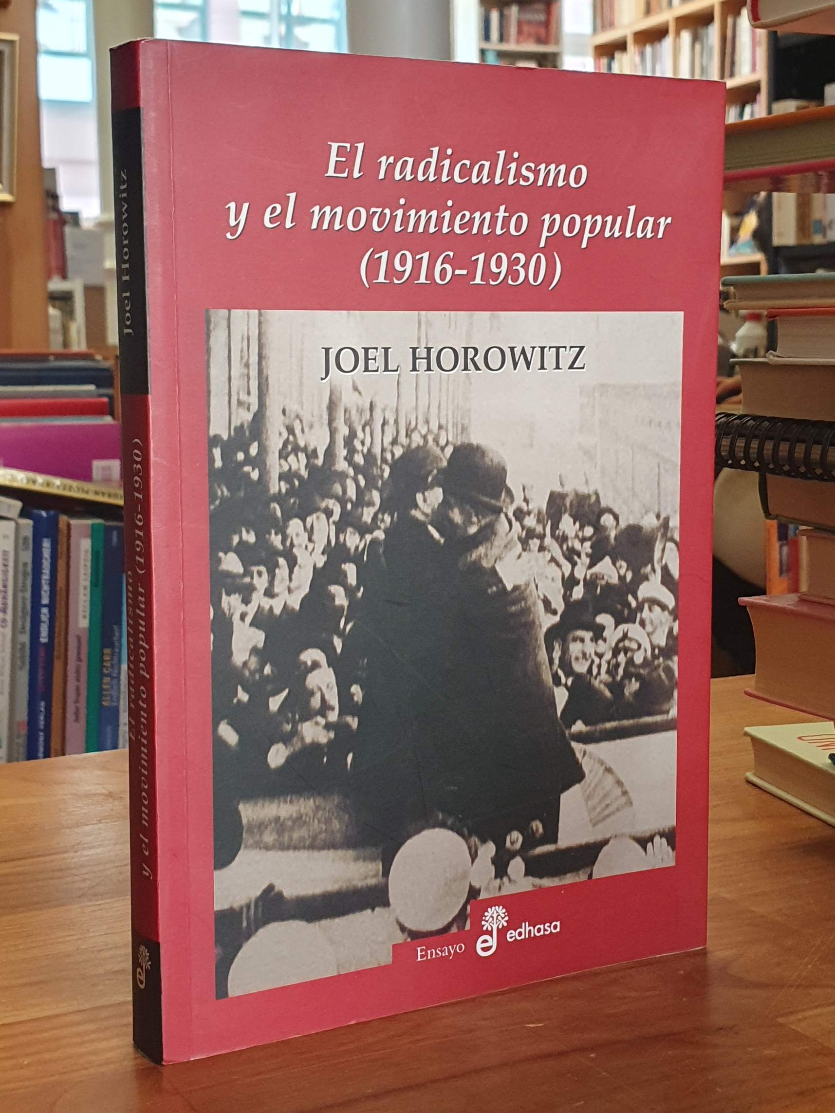 Horowitz, El Radicalismo y el movimiento popular (1916-1930),