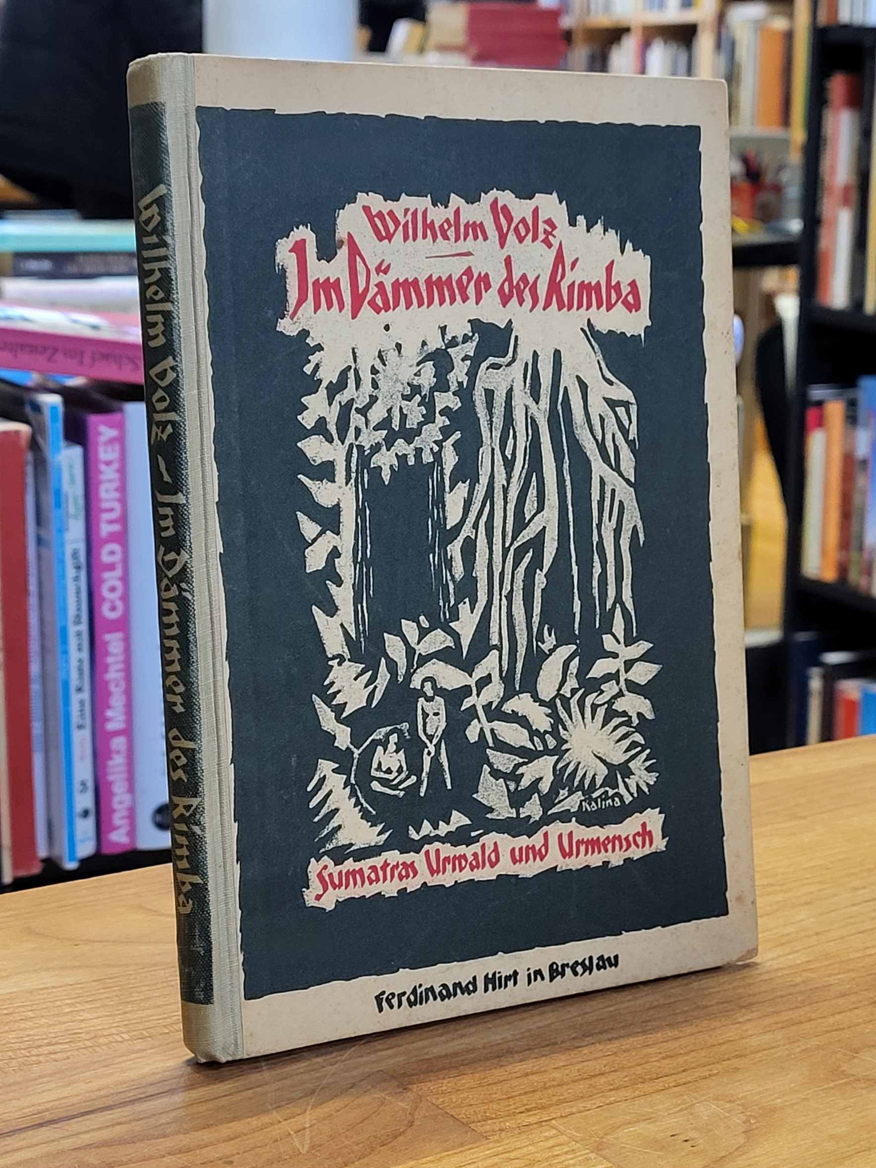 Indonesien / Wilhelm Volz, Im Dämmer des Rimba – Sumatras Urwald und Urmensch, Indonesien / Wilhelm Volz, Im Dämmer des Rimba – Sumatras Urwald und Urmensch,
