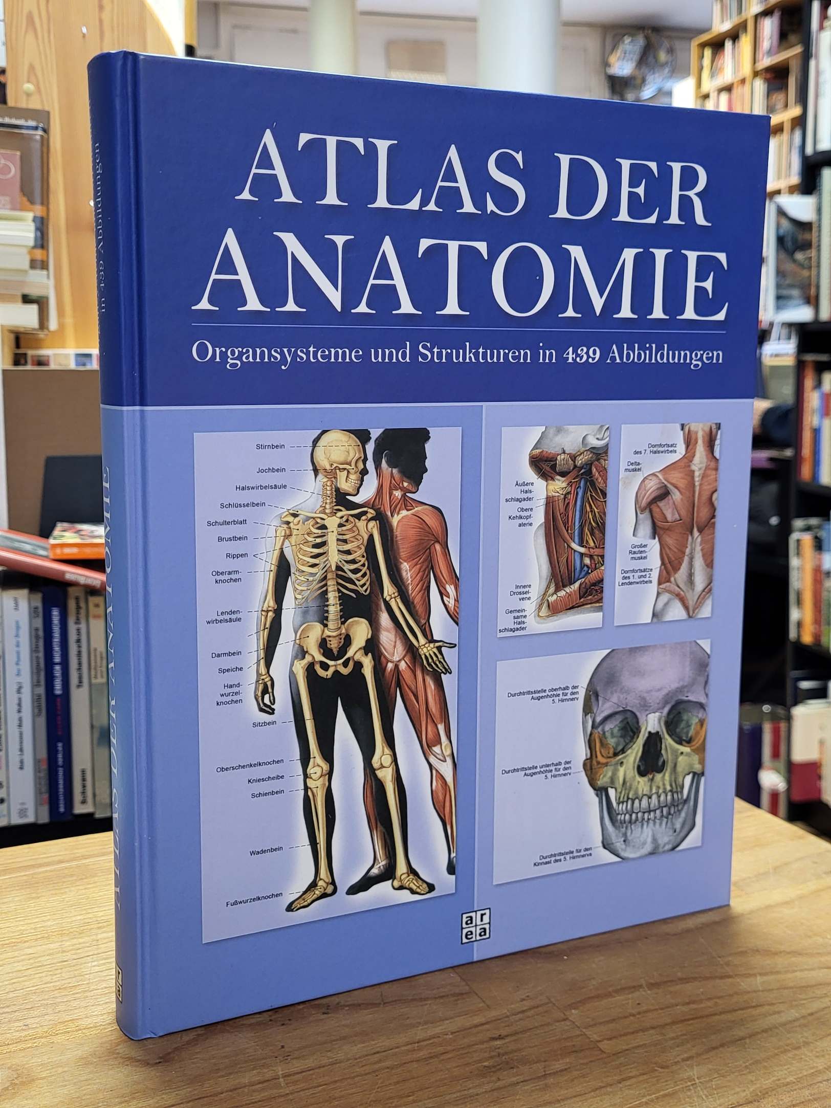 Bogensberger, Atlas der Anatomie – Organsysteme und Strukturen in 439 Bildern, Bogensberger, Atlas der Anatomie – Organsysteme und Strukturen in 439 Bildern,