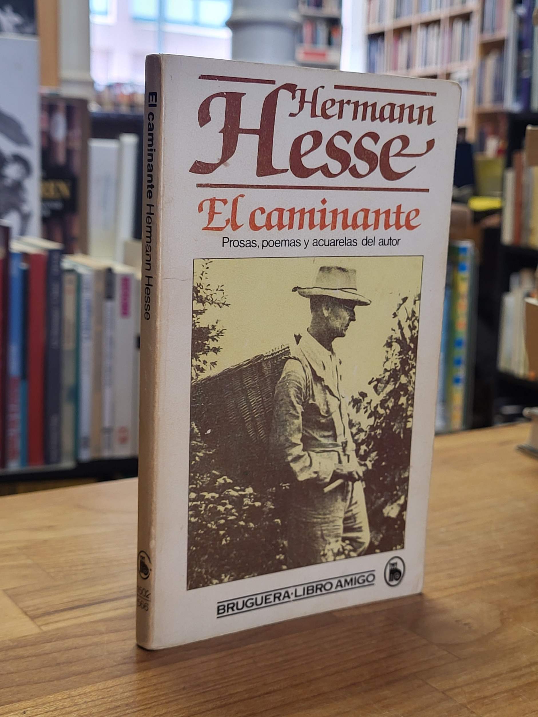 Hesse, El caminante, Hesse, El caminante,