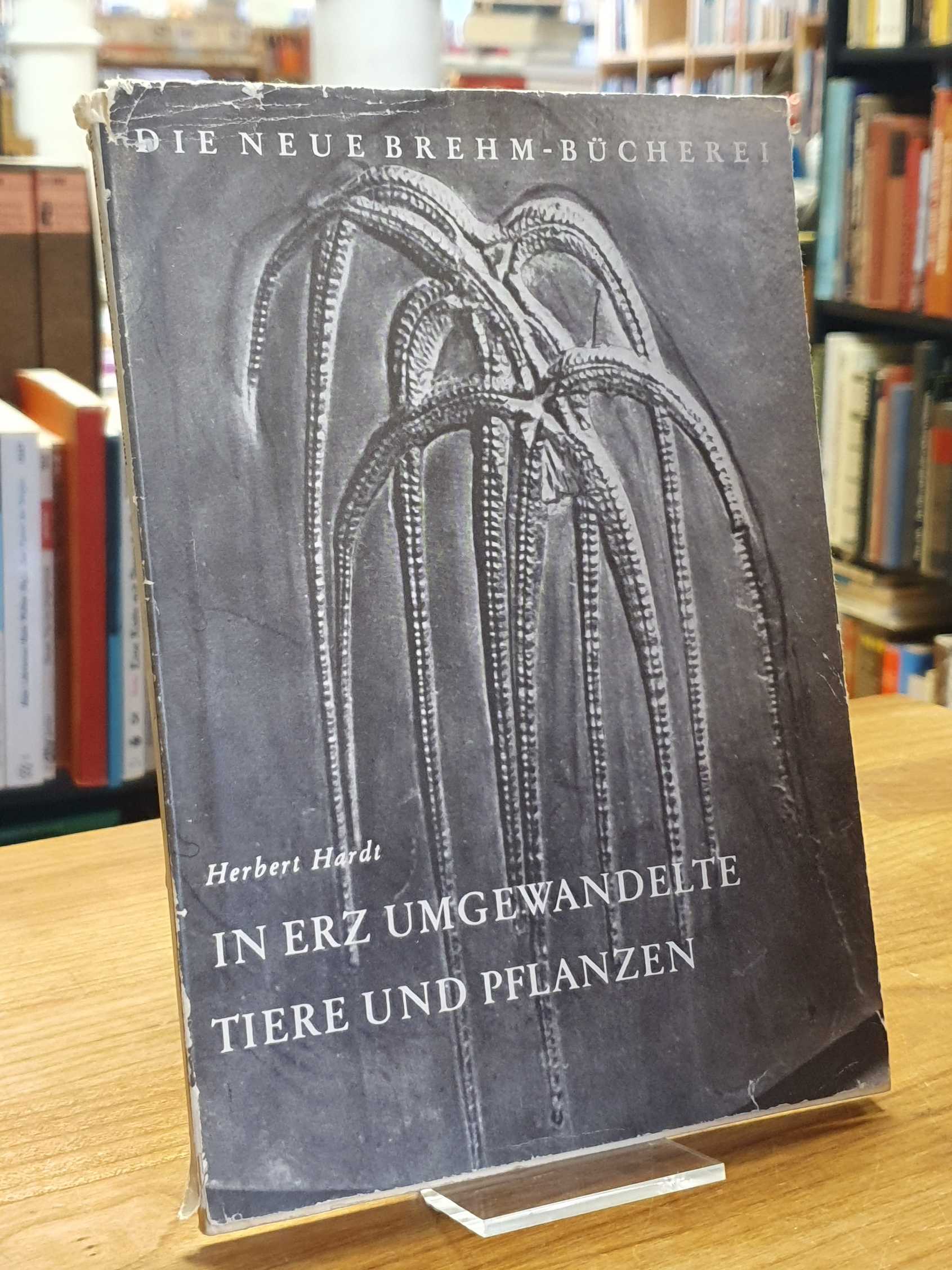 Hardt, In Erz umgewandelte Tiere und Pflanzen, Hardt, In Erz umgewandelte Tiere und Pflanzen,