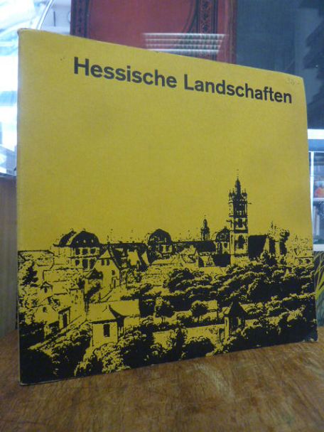 Hessisches Landesmuseum Darmstadt (Hrsg.), Hessische Landschaften