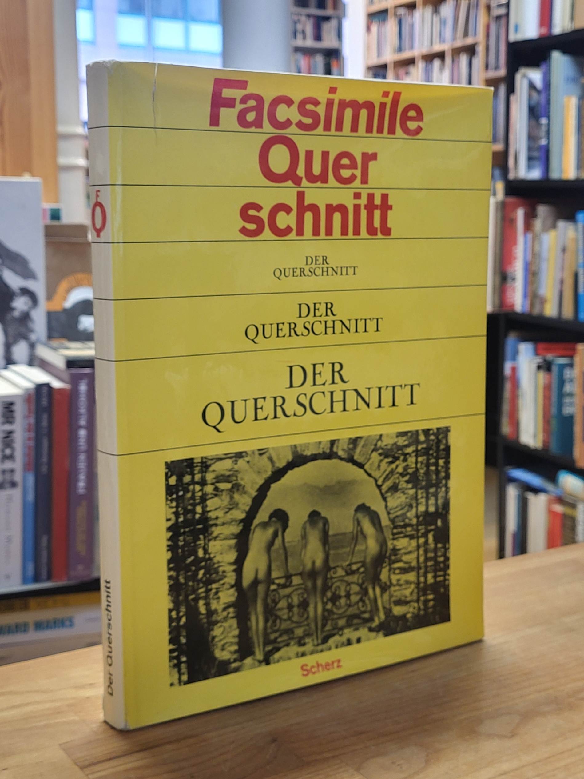 Haacke, Facsimile Querschnitt durch den Querschnitt,