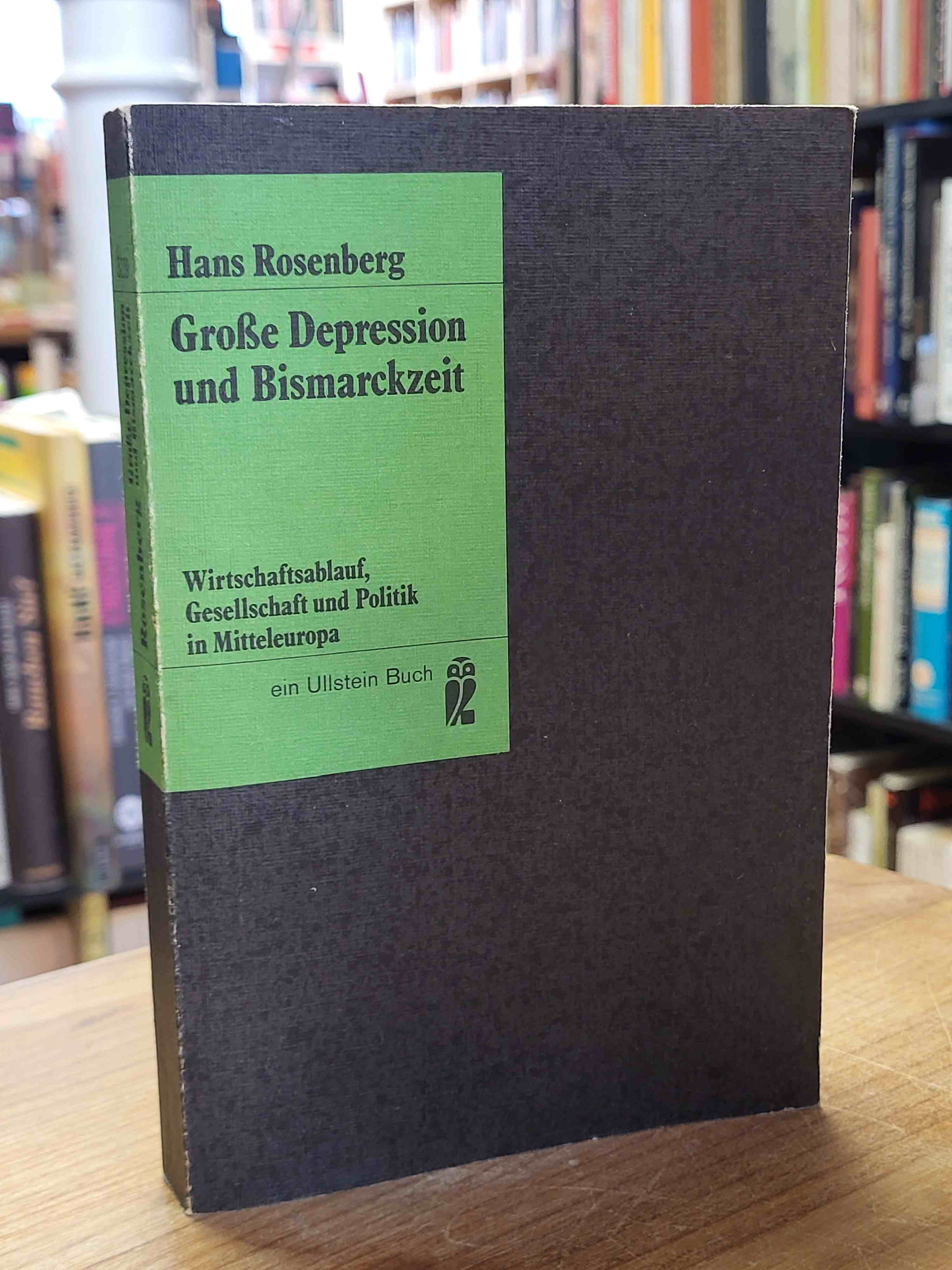 Große Depression und Bismarckzeit – Wirtschaftsablauf, Gesellschaft und Politik