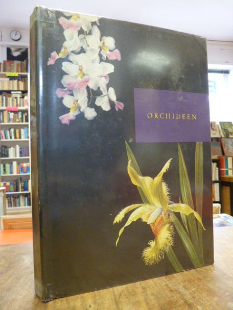 Kupper, Orchideen,