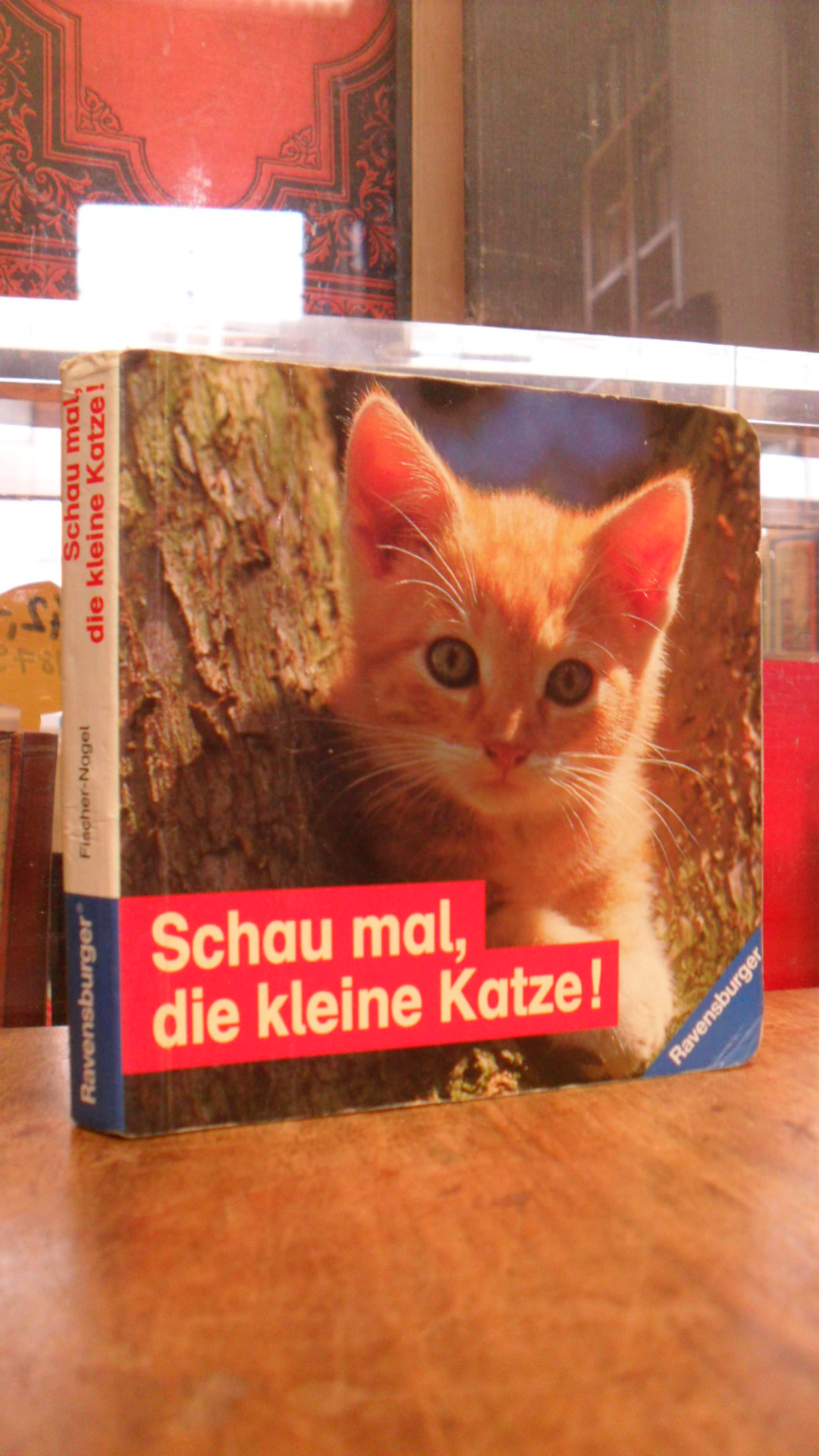 Schau mal, die kleine Katze!