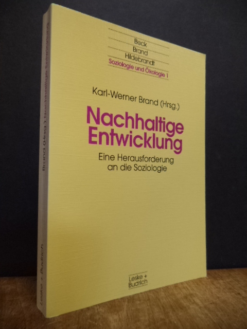 Nachhaltige Entwicklung – Eine Herausforderung an die Soziologie,