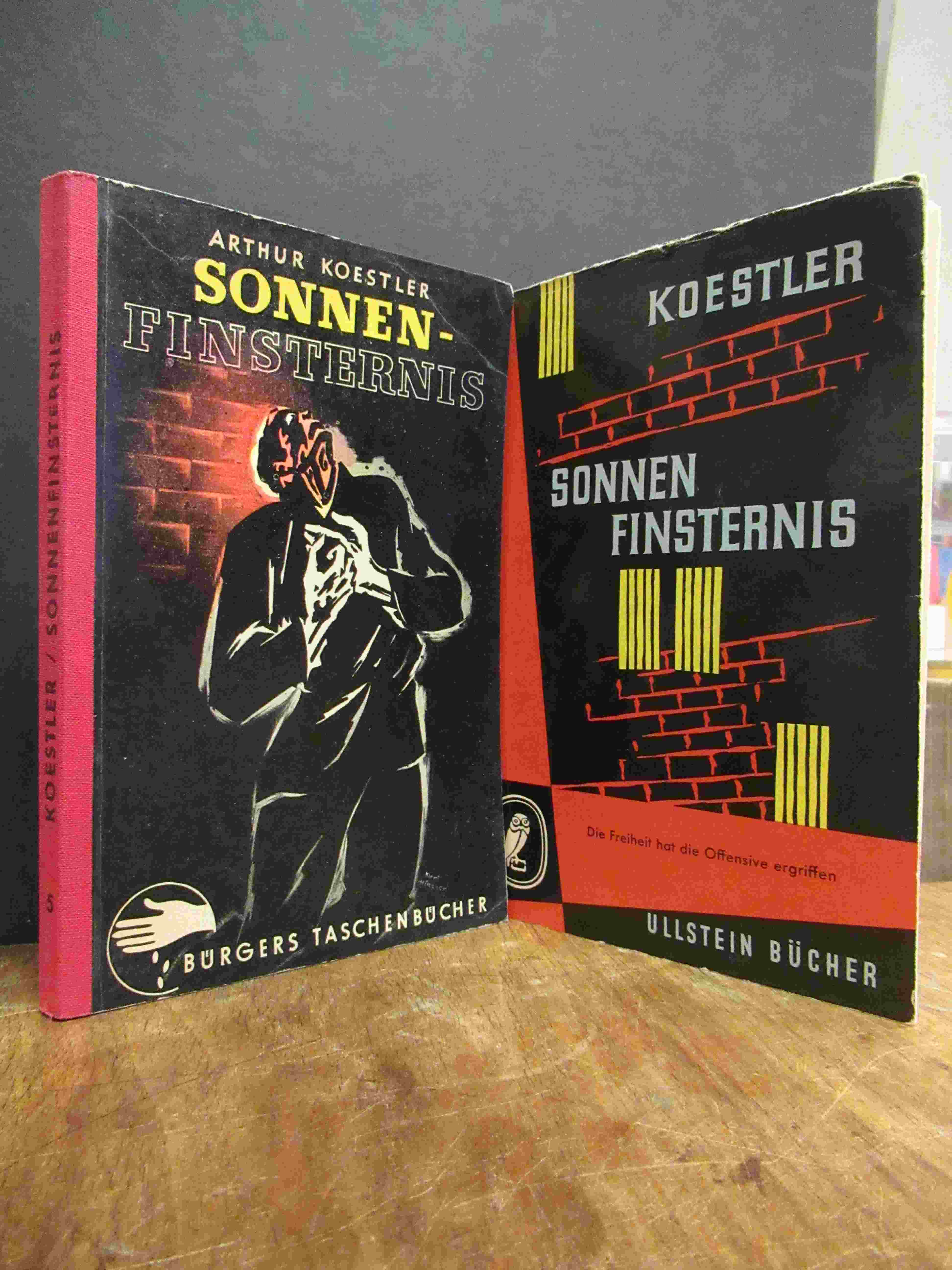 Koestler, Sonnenfinsternis,