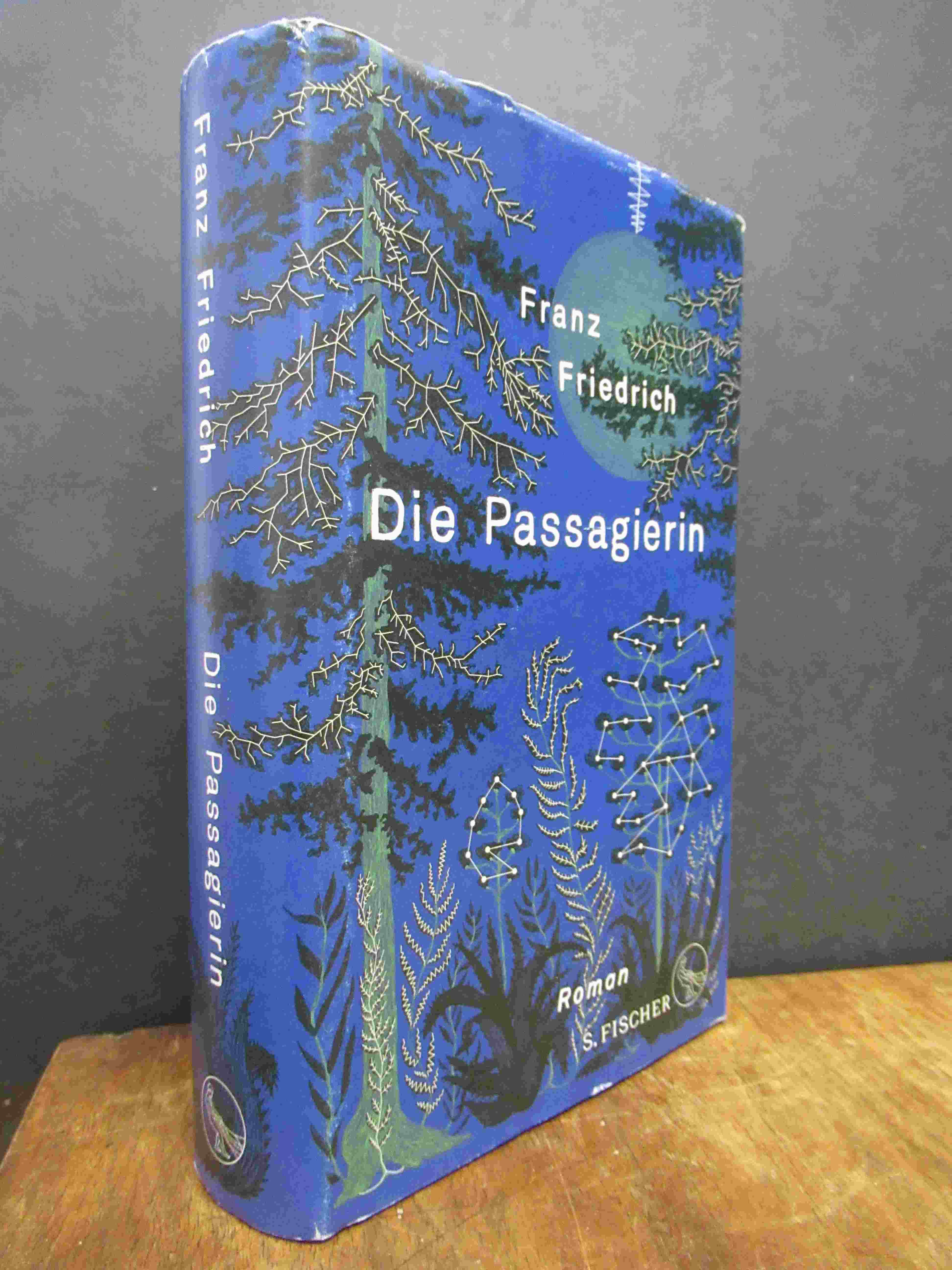 Friedrich, Die Passagierin – Roman, Friedrich, Die Passagierin – Roman,