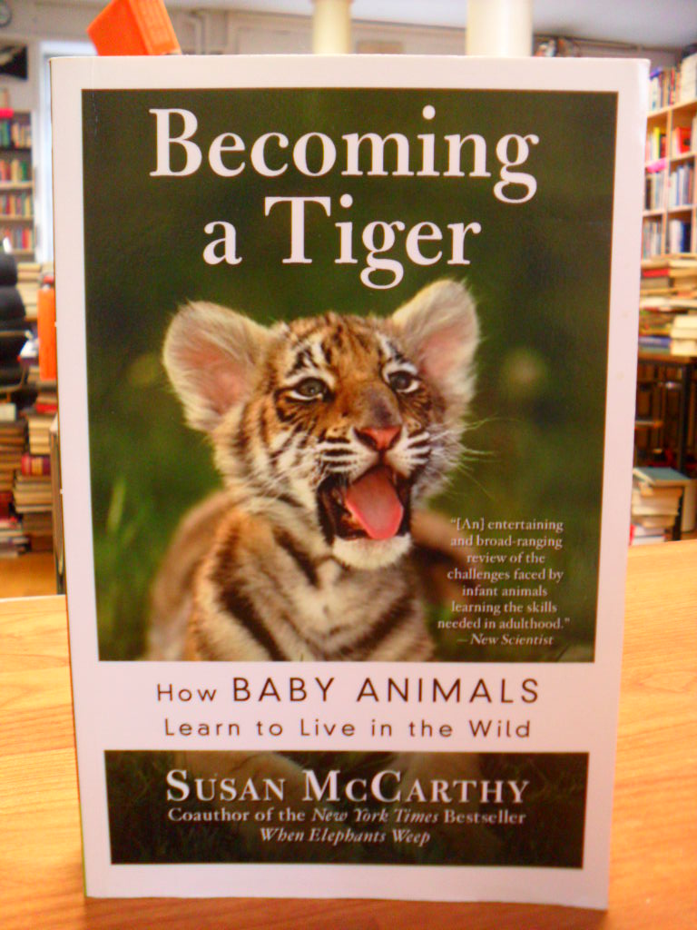 McCarthy, Becoming A Tiger – How Baby Animals Learn To Live In The Wild,