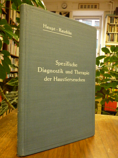 Vereinärmedizin / Haupt, Technik der spezifischen Diagnostik und Therapie der Ha