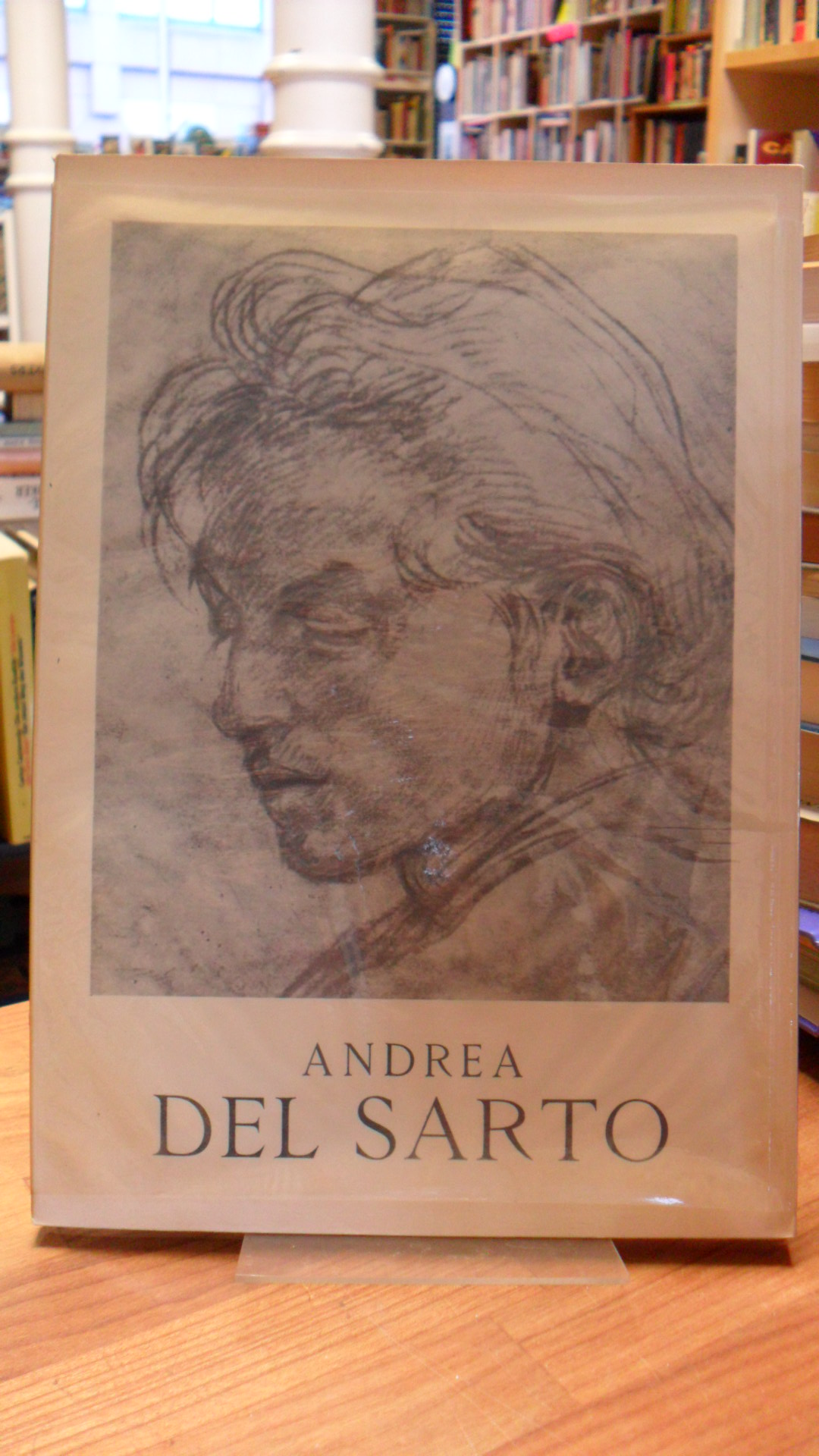 Del Sarto, I Grandi Maestri del Disegno – Andrea Del Sarto,
