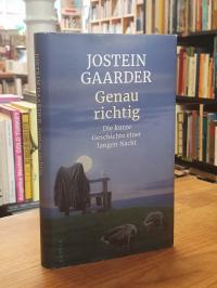 Gaarder, Genau richtig – Die kurze Geschichte einer langen Nacht,