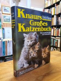 Klever, Knaurs grosses Katzenbuch – Die wunderbare Welt der Seidenpfoten,