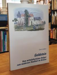 Leißner, Goldstein – Vom mittelalterlichen Hofgut zum modernen Stadtteil im Grün