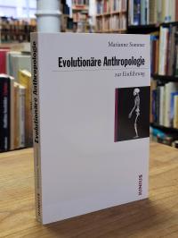 Sommer, Evolutionäre Anthropologie zur Einführung,