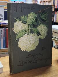 Die schönsten Blüten-Sträucher für Garten-Ausschmückung und Treiberei,