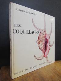 Cameron, Les coquillages,