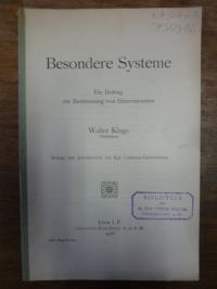 Kluge, Besondere Systeme – Ein Beitrag zur Bestimmung von Determinanten,