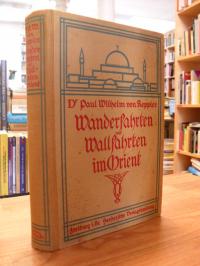 Keppler, Wanderfahrten und Wallfahrten im Orient,